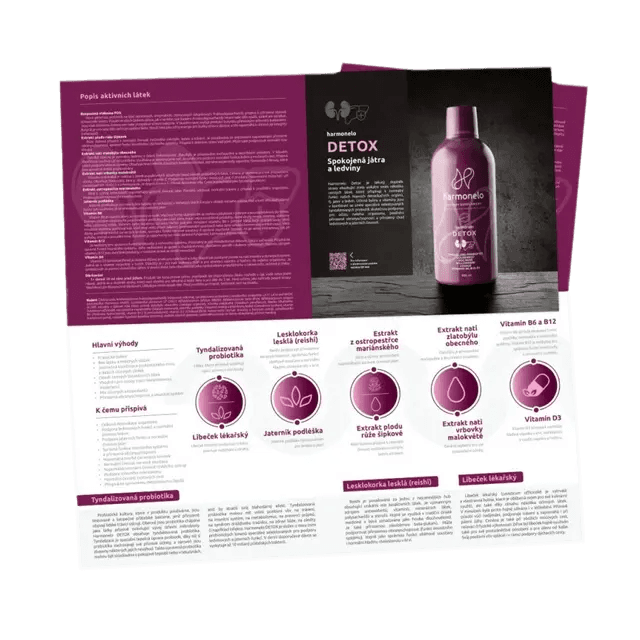 LEAFLET_10_DETOX_CZ
